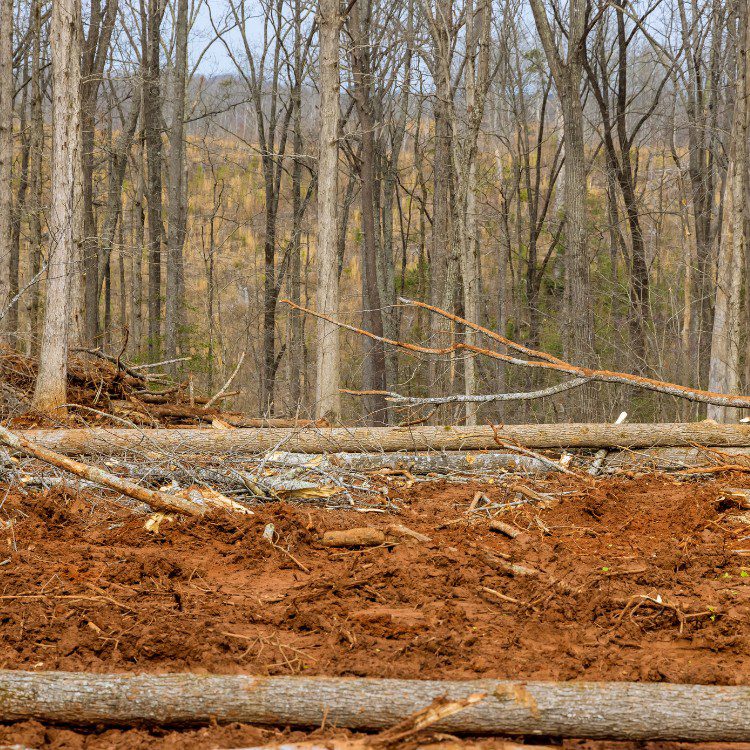 Excavation and septic services in Howard County, IA Excavation and septic services in Howard County, IA