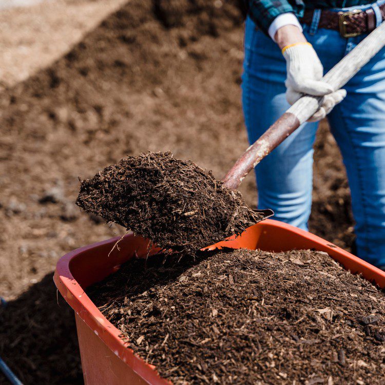 Excavation and septic services in Howard County, IA Excavation and septic services in Howard County, IA